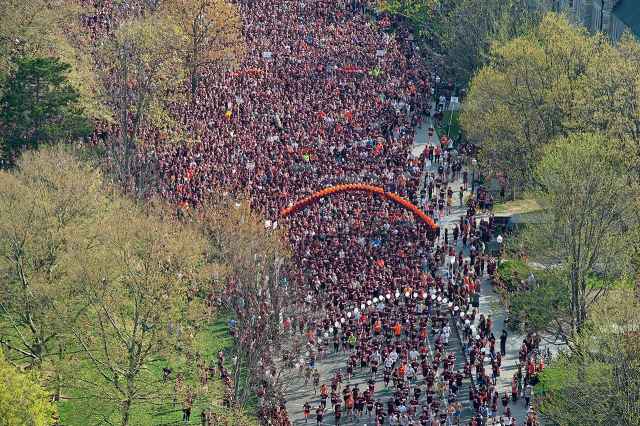 Runners at the start