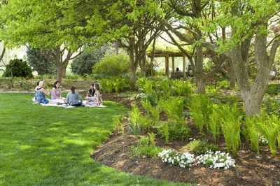 The Hahn Horticulture Garden was designated as a place for reflection. 