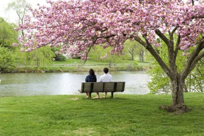 The Duck Pond Gazebo was designated as a place for reflection.